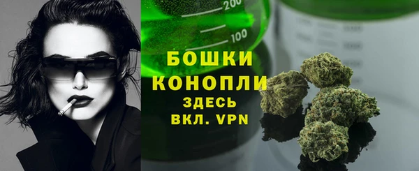 прущие грибы Балабаново