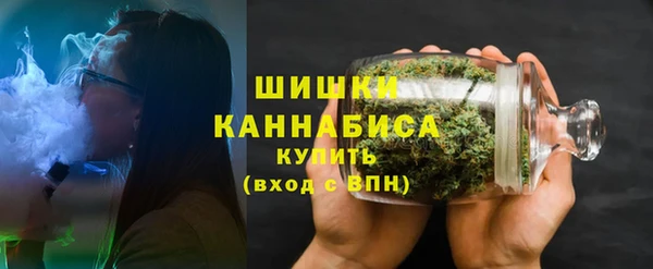 прущие грибы Балабаново