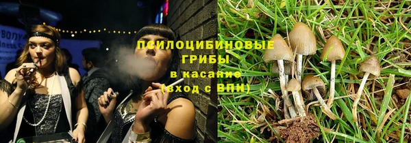 прущие грибы Балабаново