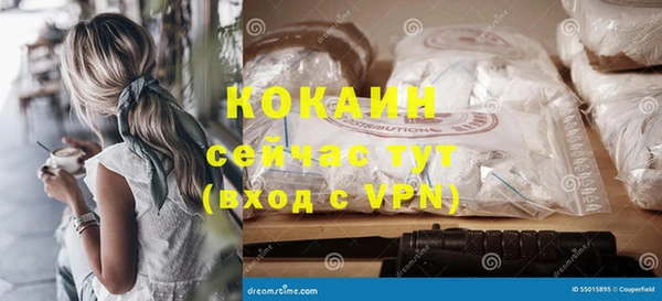 прущие грибы Балабаново